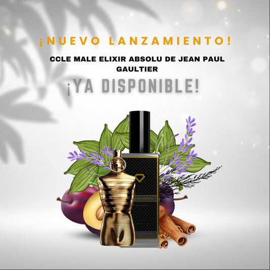 C LE MALE ELIXIR ABSOLU DUPE DE JEAN PAUL GAULTIER