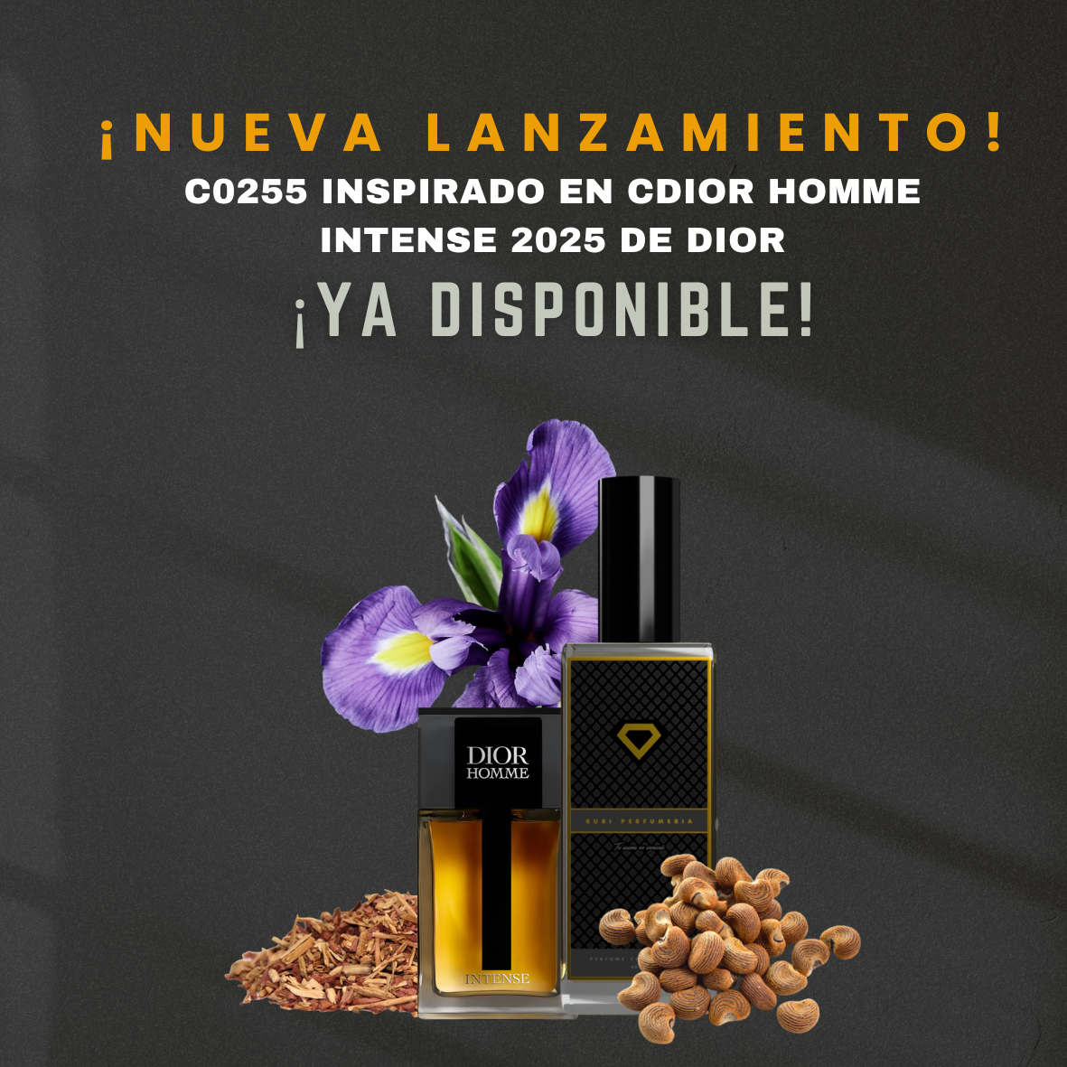 C DIOR HOMME PARFUM 2025 DUPE DE DIOR
